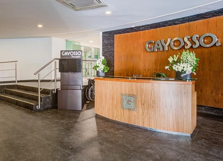 Gayosso